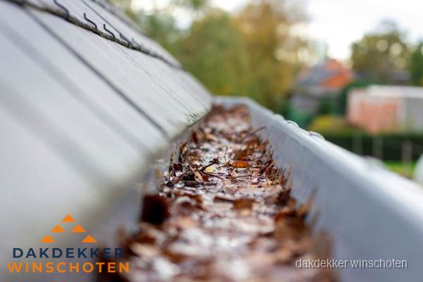 Verstopte dakgoot met bladeren schoonmaken in Winschoten Verstopte dakgoot met bladeren schoonmaken in Winschoten