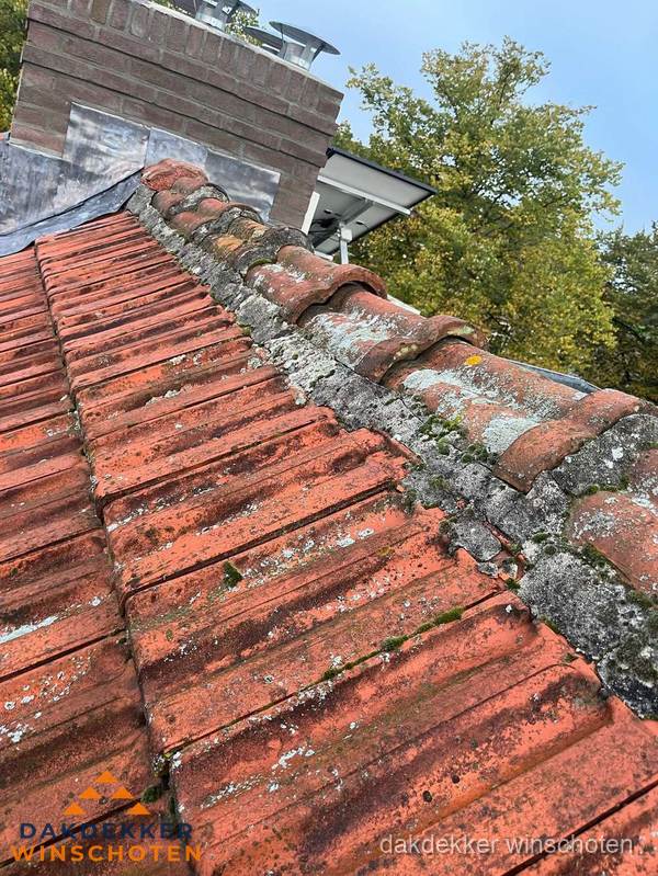 Verweerd hellend dak met mosgroei op nokvorst in Winschoten Verweerd hellend dak met mosgroei op nokvorst in Winschoten