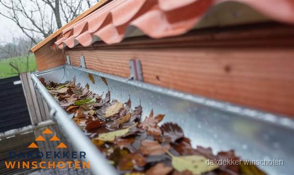 Dakgoot vol bladeren die gereinigd moet worden in Winschoten Dakgoot vol bladeren die gereinigd moet worden in Winschoten