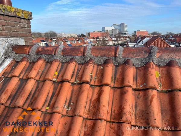 Pannendak met nokvorst en schoorsteen, dakrenovatie in Winschoten
