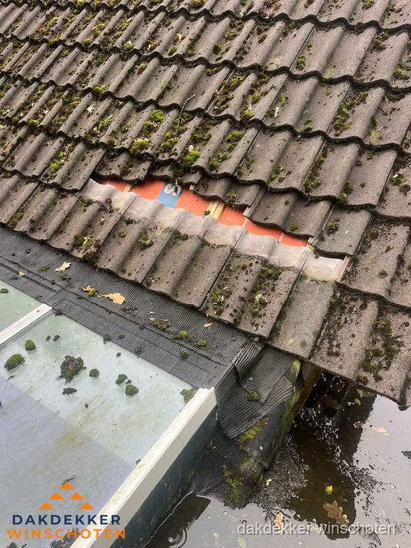 Beschadigd pannendak met ontbrekende dakpannen voor reparatie in Winschoten Beschadigd pannendak met ontbrekende dakpannen voor reparatie in Winschoten